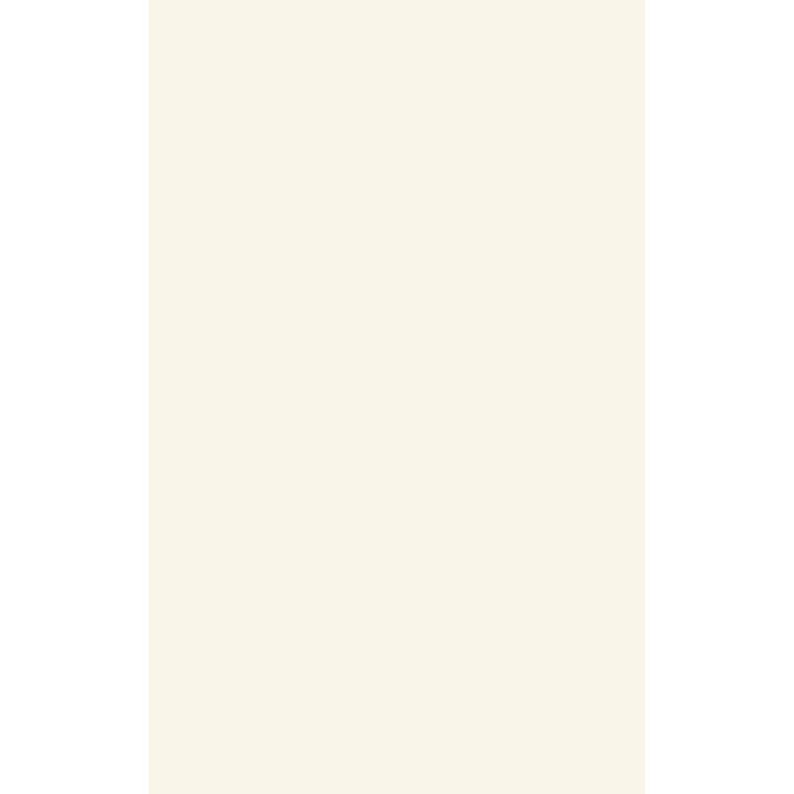 VIVIAN BIANCO SCIANA 25X40