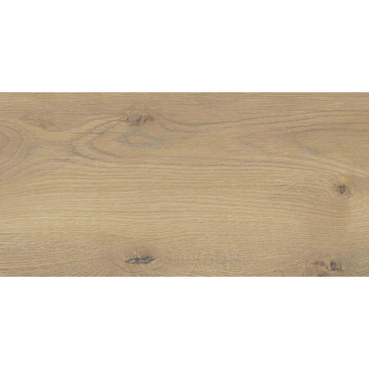 TAIGA BEIGE GRES MAT. 30X60