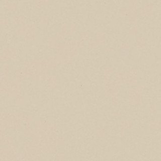 MODERNIZM BIANCO GRES REKT. MAT. 19