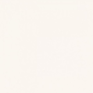 GAMMA BIANCO SCIANA MAT. 19