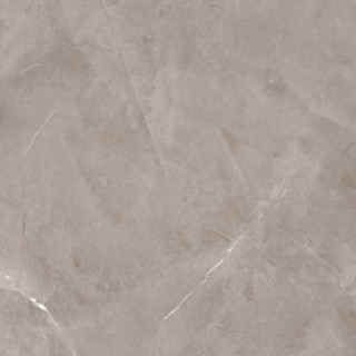 HARMONIC GREY POL 59