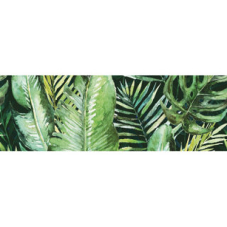 BRAGA TROPIC  A INSERTO 25X75