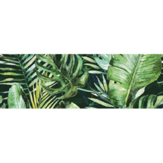 BRAGA TROPIC  C INSERTO 25X75