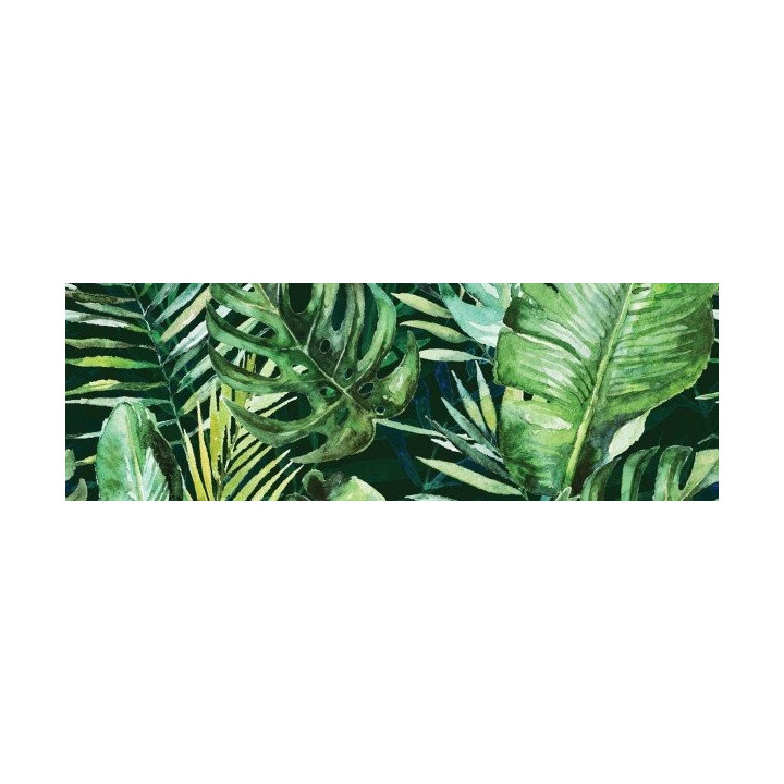 BRAGA TROPIC  C INSERTO 25X75
