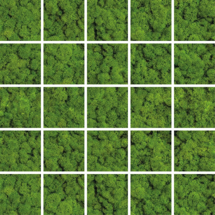GREEN MOSS MOSAIK 24