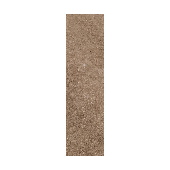 MATTONE SABBIA BROWN ELEWACJA 24