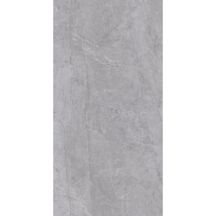 85X119
