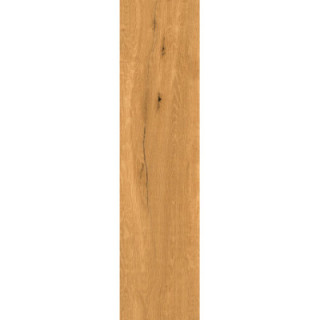 OAK HONEY MATT 30X120