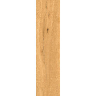 OAK BEIGE MATT 30X120