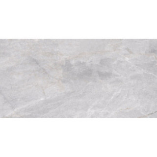 DUOMO GRIS PW R M 60X120