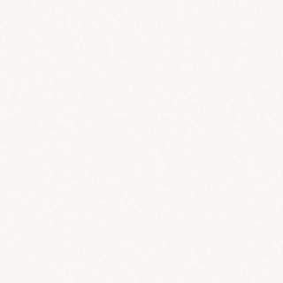 BARCELONA BLANCO MATT 25X25