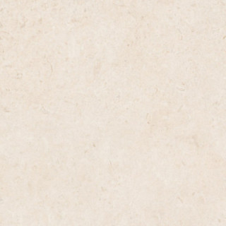 CARACTER BLANCO RT 100X100