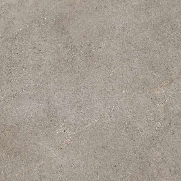 NATURALIA TAUPE RT 100X100