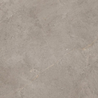 NATURALIA TAUPE C2 RT 100X100