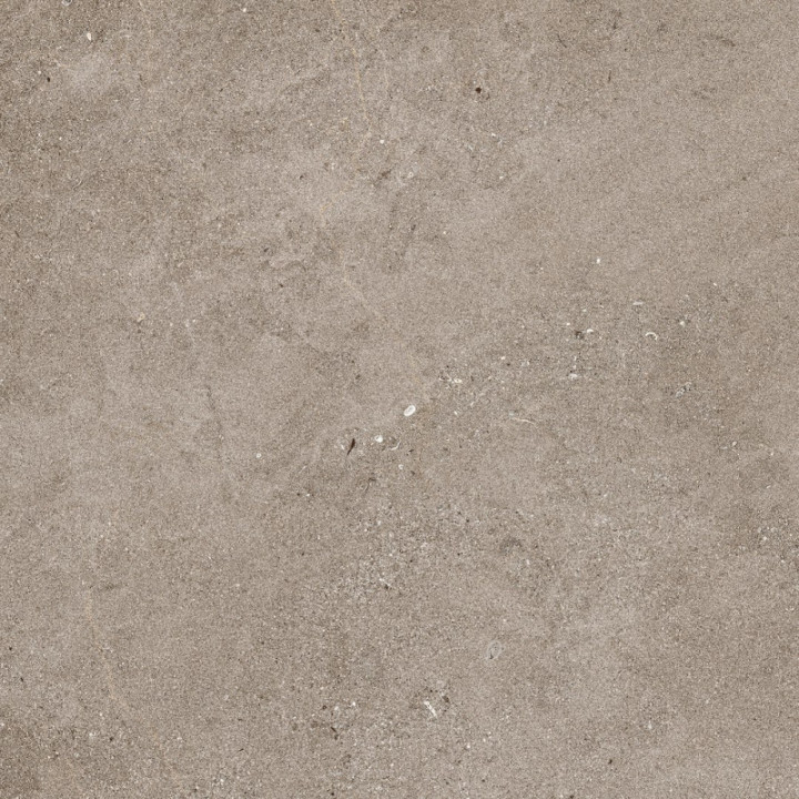 NATURALIA TAUPE C2 RT 60X60