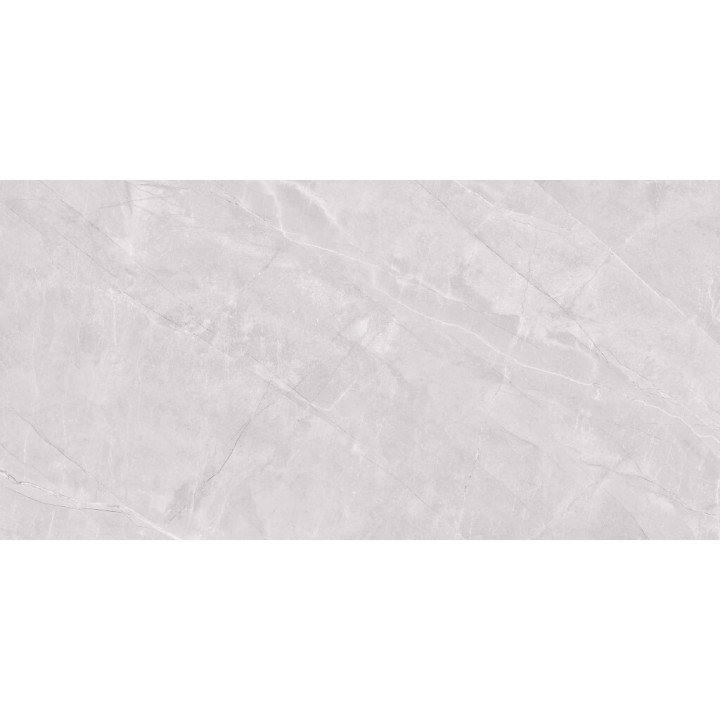 TIGRINA LIGHT GREY MAT 60X120