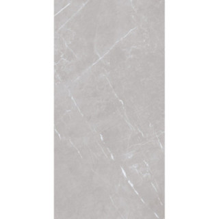 MARMOLINO SILVER MATT 60X120