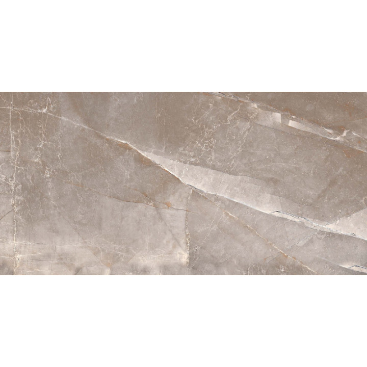 SCALE GRAY MATT 60X120