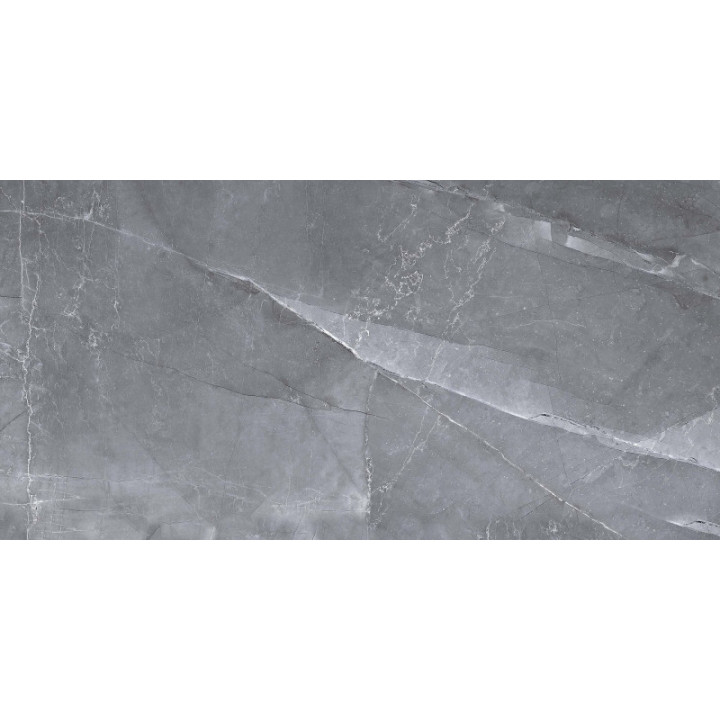 SCALE SILVER MATT 60X120