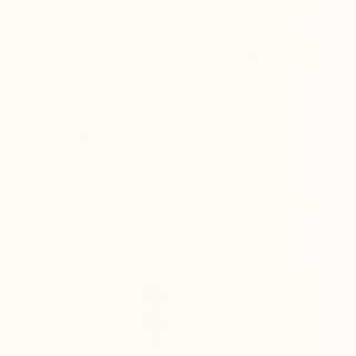 GAMMA BIANCO SCIANA POLYSK 19