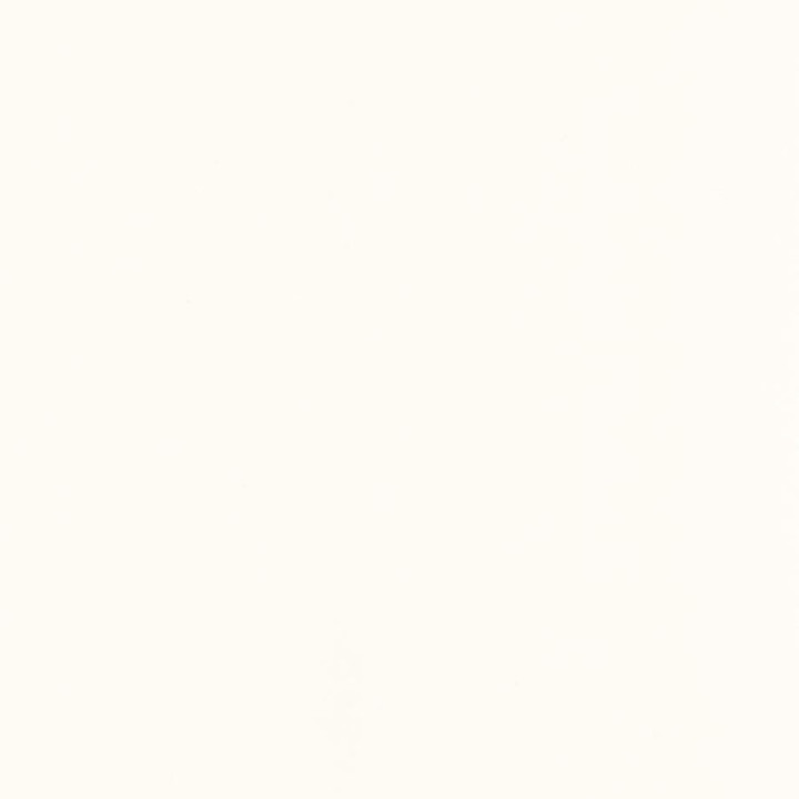 GAMMA BIANCO SCIANA POLYSK 19