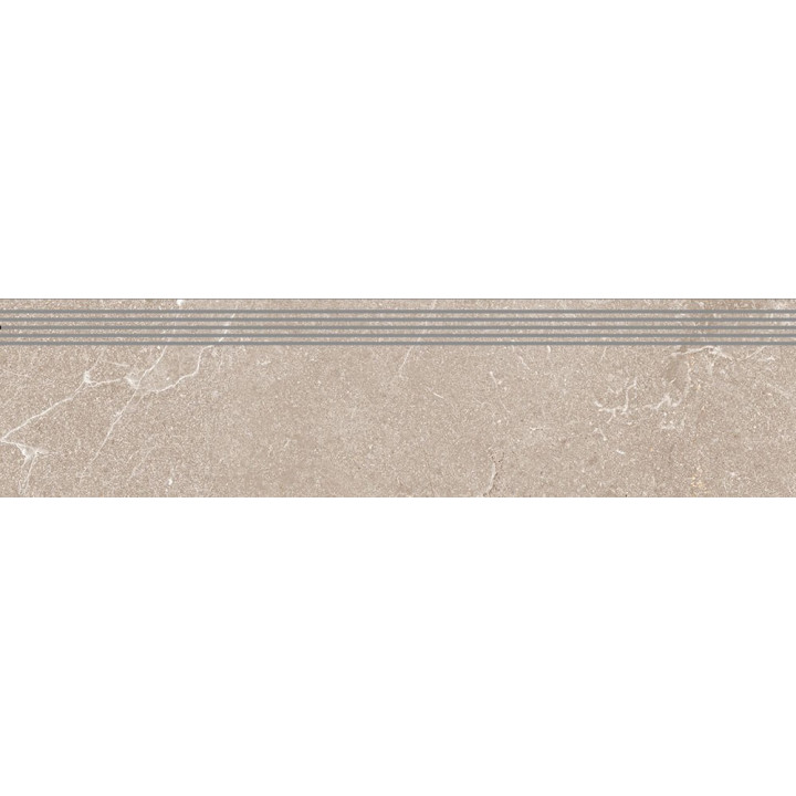 HARD ROCK SILVER MATT STOPNICA 30X120