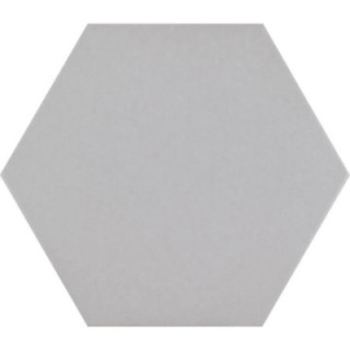 CODICER NEUTRAL SILVER 25X22