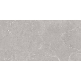 HARD ROCK SILVER LAPPATO 60X120