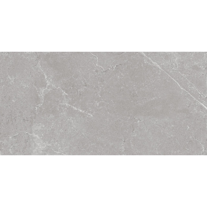 HARD ROCK SILVER LAPPATO 60X120