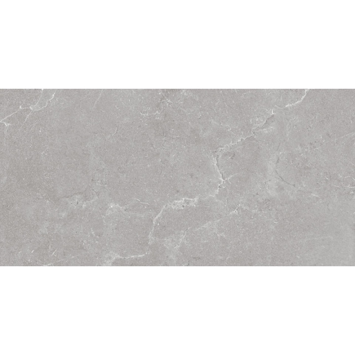 HARD ROCK SILVER LAPPATO 60X120