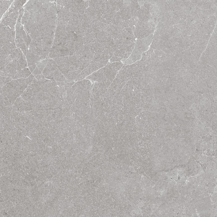 HARD ROCK SILVER LAPPATO 60X60