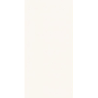 TABIA WHITE SCIANA MAT. 30X60