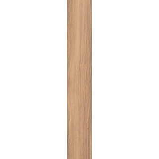 MOUNTAIN ASH ALMOND STR 19X119