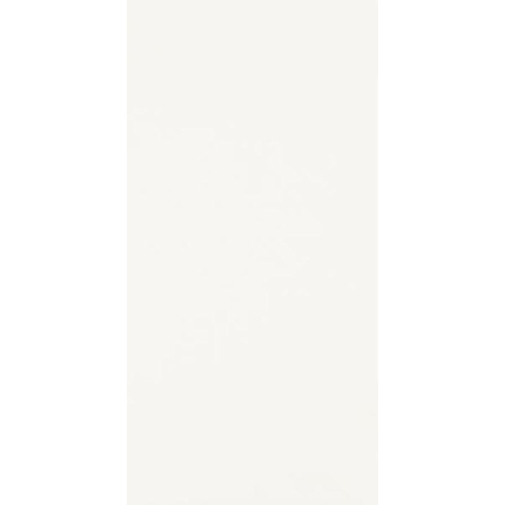 HARMONY BIANCO SCIANA 30X60