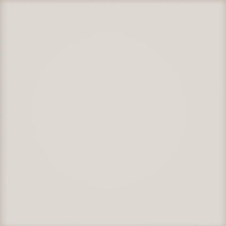 PASTEL SZARY JASNY MAT 20X20