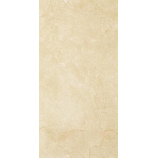 INSPIRATION BROWN SCIANA 30X60