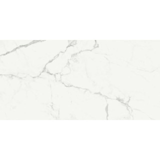 MARBLEPLAY STATUARIO REKT. 58X116