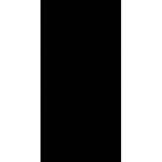 SYNERGY NERO SCIANA 30X60