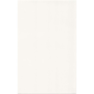 BIAŁA BŁYSZCZACA 25x40