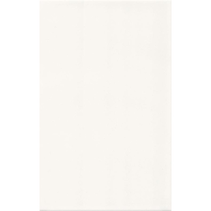 BIAŁA BŁYSZCZACA 25x40