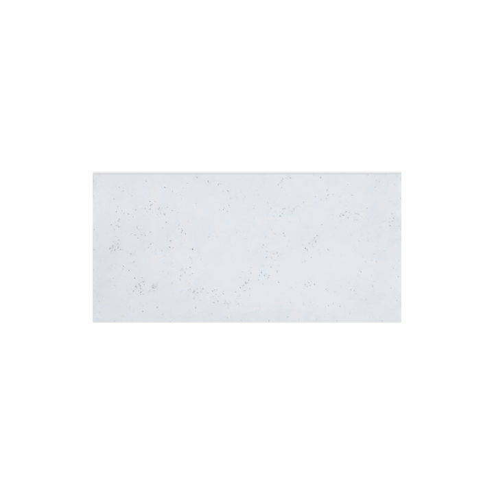 81 M2