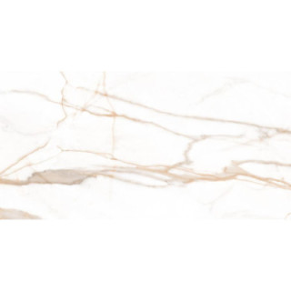 MARMO GOLD MAT 60X120