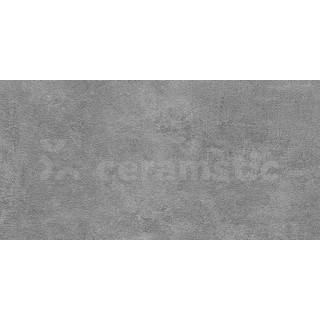 HARMIGON TUNDRA LAPPATO 120x60