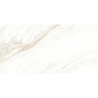 ARGENTA HERA WHITE POLISHED RC 60X120