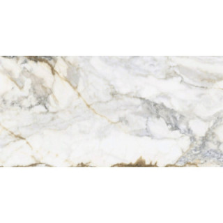 PAMESA PISA GOLD MAT 60X120