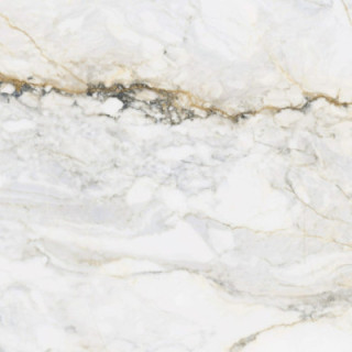 PAMESA PISA GOLD POLER 60X60