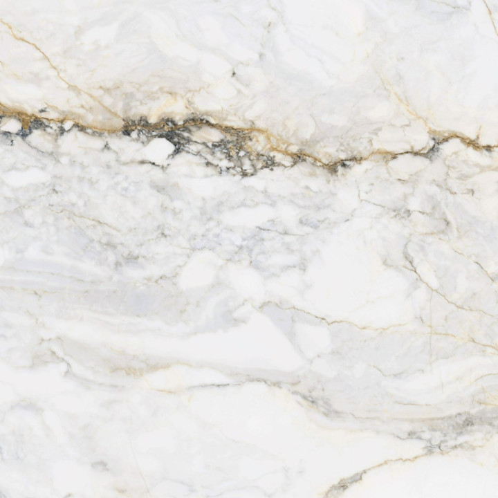 PAMESA PISA GOLD POLER 60X60