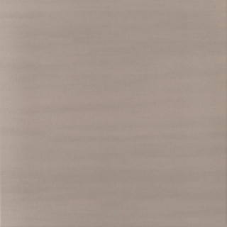 TANGO GREY 45X45
