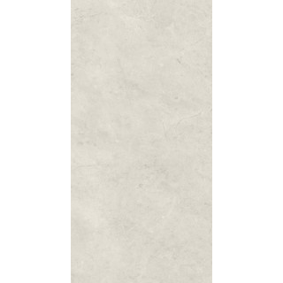 AFTERNOON SILVER SCIANA REKT. 29