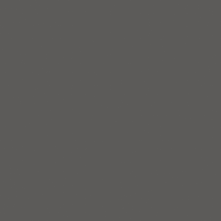 ARGENTA CARPENTER DARK RC (PRC) 60X60